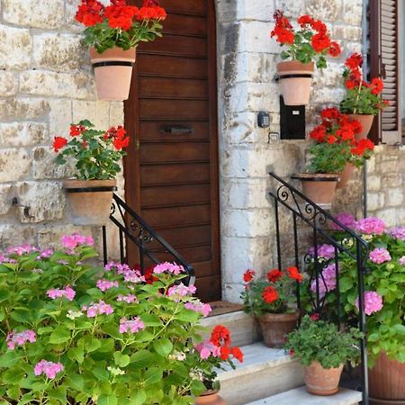 Casa Gentile Apartamento Assisi Exterior foto